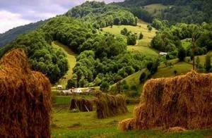 maramures1-300x196