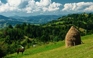 maramures