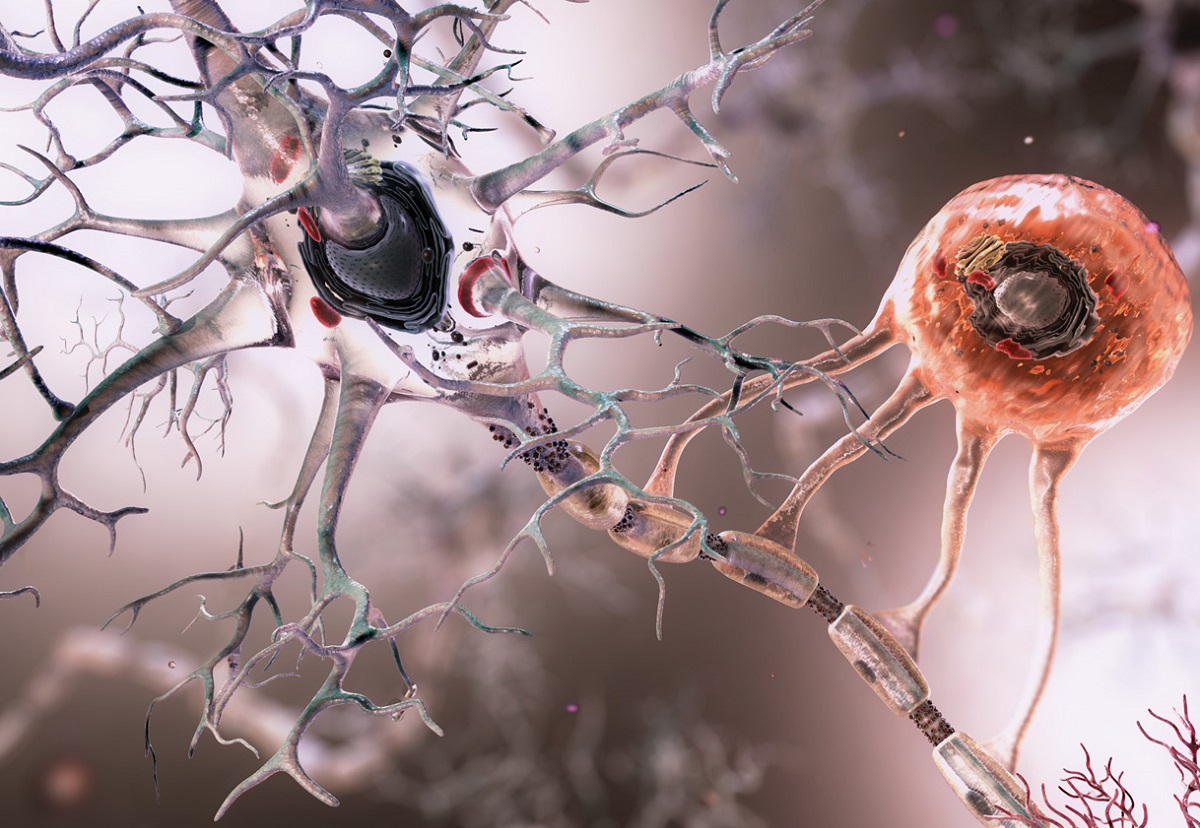 нервная ткань для матрасов