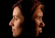 Evoluția genomului uman