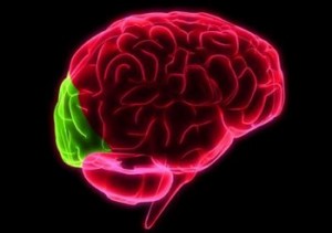 zona vizuală din creier ce vede o persoană cu miopie
